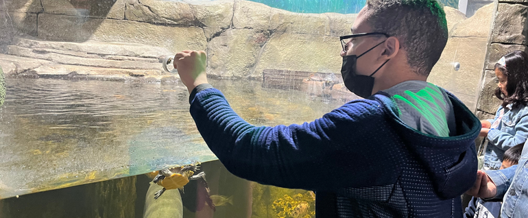 A man standing at a fish tank in an aquarium, feeding a turtle.