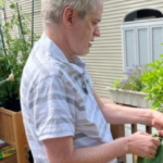 Terrace Ave Residents Showing Green Thumbs