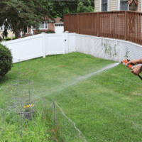 Volunteers Cultivate Joy and Growth in Group Home Gardens