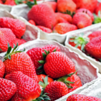 Rec Programs Celebrate Spring… and Strawberries!