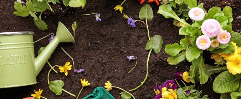 A watering can in a garden.